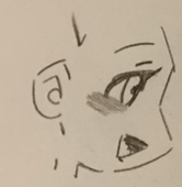 323