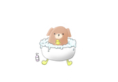 せなすけ