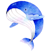 星の手紙