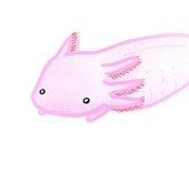 門倉ひびき