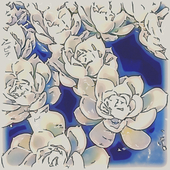キコ