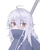 贡柑