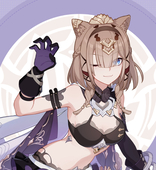 这里是猫猫人