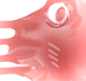 kusa