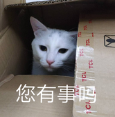 Karenncat