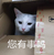 Karenncat
