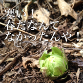 龍羅and娥劉