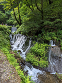 千野　恵美瑠