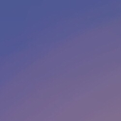 冬野