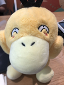 透子Seiya
