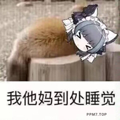 xuwu