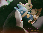 ピーク