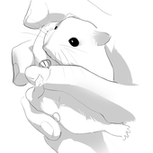 こめび(miidinmii)