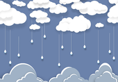 雨木目