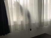 にゃさん