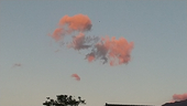 舛花