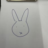 毛玉