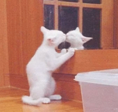 水玻璃°•゚