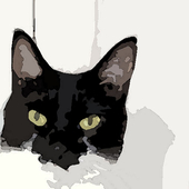 Rucat
