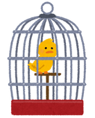 k/hb(トリ)