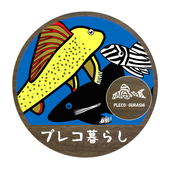 プレコ暮らし🐟アクア＆アート