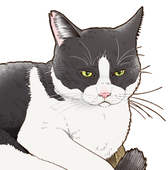 鯛たん