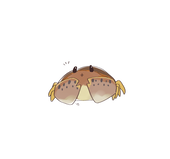 Lia(いちっ)