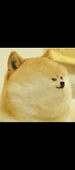 广door老乡♂