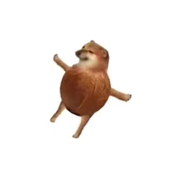 挞挞椰