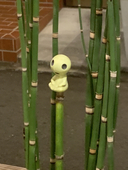 もぐもぐ