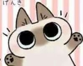 菠萝包