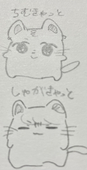 綾一