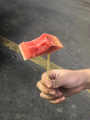 绘狸