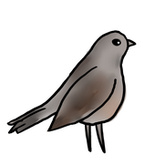 なまこ