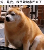 和假期