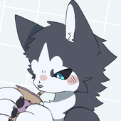柴犬のきち