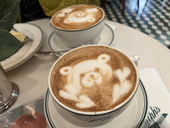 みくも
