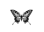 絢