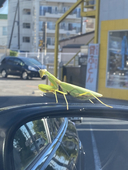 よる
