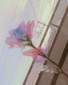 水仙