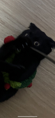 bei bei