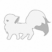 しょう