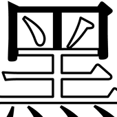 黑野羊