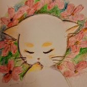 ひらの