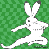 塩むすび
