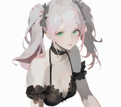 白橘猫