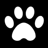 わんこ‎🐾