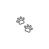 ねこた