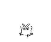 Mr.Owl