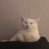 ro ro l